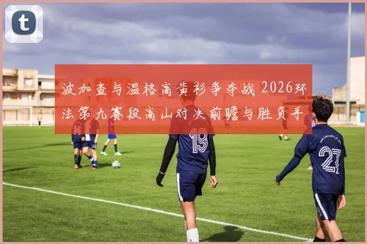 波加查与温格高黄衫争夺战 2026环法第九赛段高山对决前瞻与胜负手分析